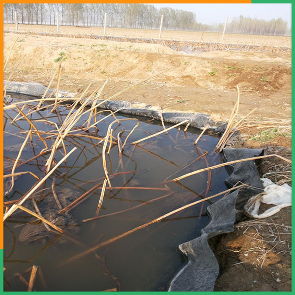 黑色防渗膜欢迎来电咨询-PA直营环保公司