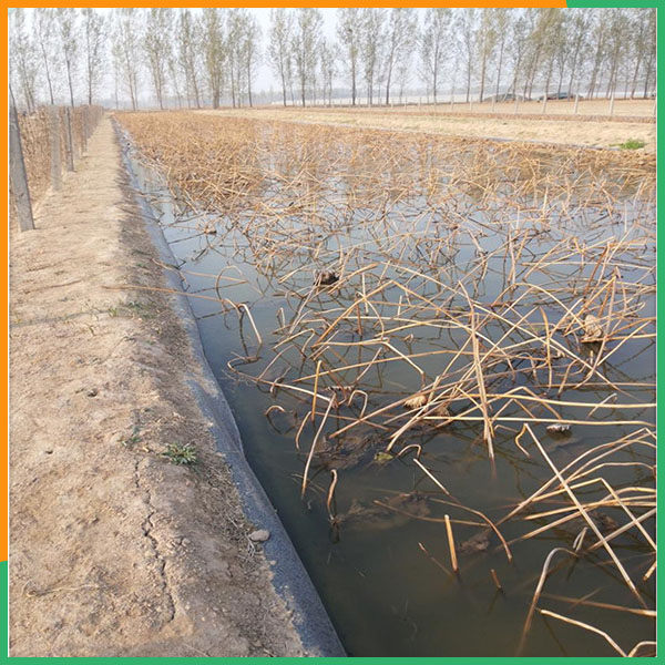 泰安PA直营环保材料-藕池耐老化防渗膜价格面议